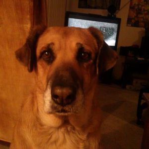 Meet your Posher, Lynda